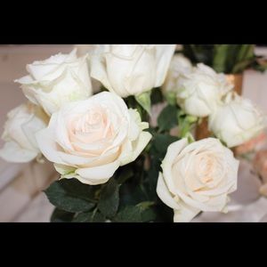 Meet your Posher, Amber